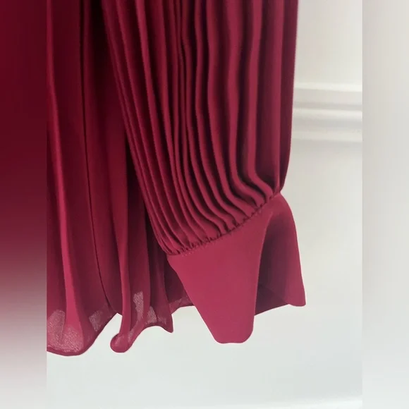 Weill Bergundy Pleated Lace blouse
Size 6 - Picture 5 of 13